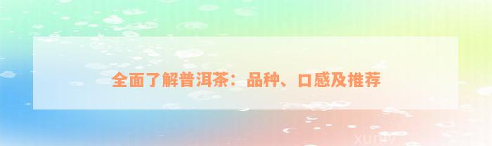 全面了解普洱茶：品种、口感及推荐