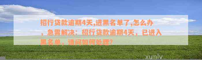 招行贷款逾期4天,进黑名单了,怎么办，急需解决：招行贷款逾期4天，已进入黑名单，请问如何处理？