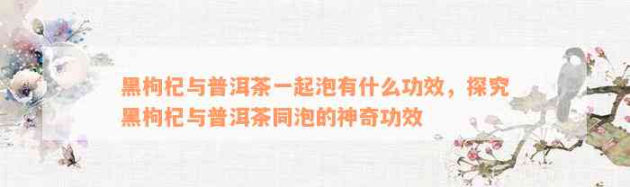 黑枸杞与普洱茶一起泡有什么功效，探究黑枸杞与普洱茶同泡的神奇功效