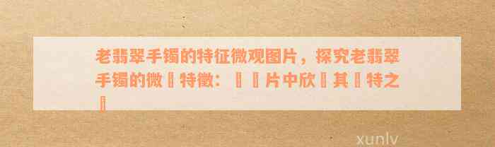 老翡翠手镯的特征微观图片，探究老翡翠手镯的微觀特徵：從圖片中欣賞其獨特之處