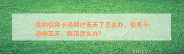 我的信用卡逾期过五天了怎么办，信用卡逾期五天，我该怎么办？