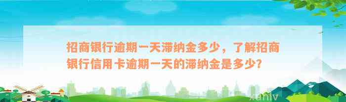 招商银行逾期一天滞纳金多少，了解招商银行信用卡逾期一天的滞纳金是多少？