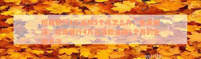 招商银行4万逾期5个月怎么办，急需解决：招商银行4万元贷款逾期5个月的处理方法