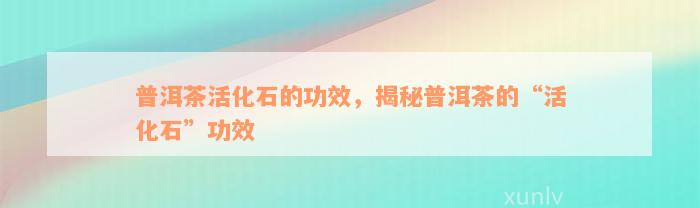 普洱茶活化石的功效，揭秘普洱茶的“活化石”功效