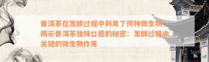 普洱茶在发酵过程中利用了何种微生物，揭示普洱茶独特口感的秘密：发酵过程中关键的微生物作用