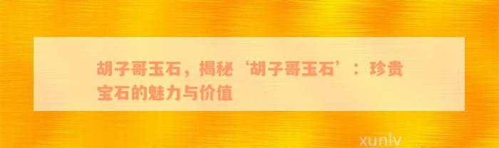 胡子哥玉石，揭秘‘胡子哥玉石’：珍贵宝石的魅力与价值