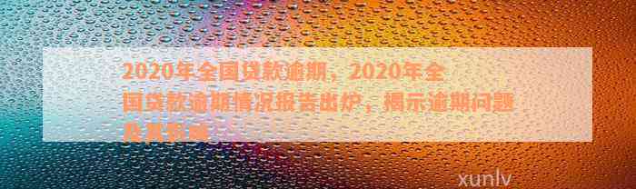 2020年全国贷款逾期，2020年全国贷款逾期情况报告出炉，揭示逾期问题及其影响