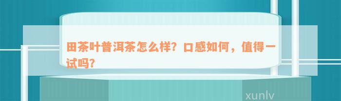 田茶叶普洱茶怎么样？口感如何，值得一试吗？