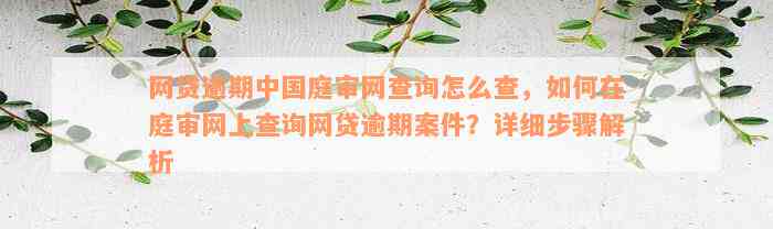 网贷逾期中国庭审网查询怎么查，如何在庭审网上查询网贷逾期案件？详细步骤解析