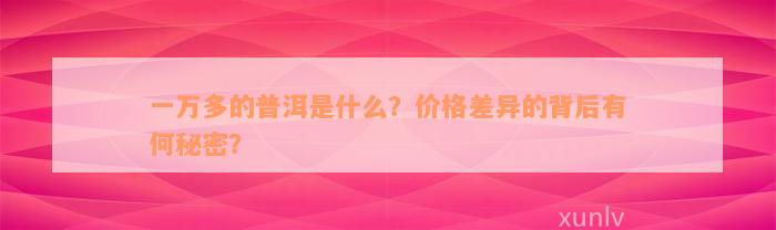 一万多的普洱是什么？价格差异的背后有何秘密？