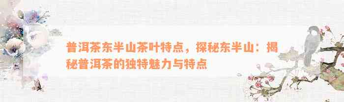 普洱茶东半山茶叶特点，探秘东半山：揭秘普洱茶的独特魅力与特点