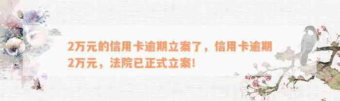 2万元的信用卡逾期立案了，信用卡逾期2万元，法院已正式立案！