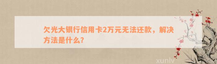 欠光大银行信用卡2万元无法还款，解决方法是什么？