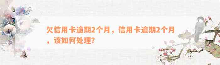 欠信用卡逾期2个月，信用卡逾期2个月，该如何处理？