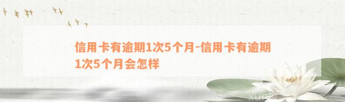 信用卡有逾期1次5个月-信用卡有逾期1次5个月会怎样