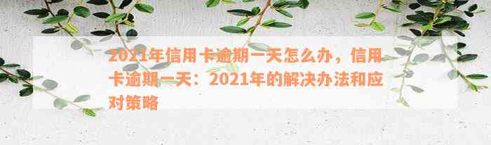 2021年信用卡逾期一天怎么办，信用卡逾期一天：2021年的解决办法和应对策略