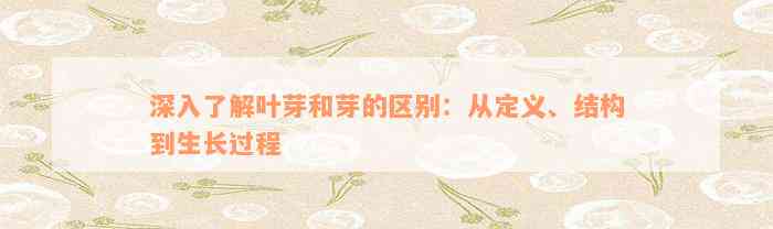 深入了解叶芽和芽的区别：从定义、结构到生长过程