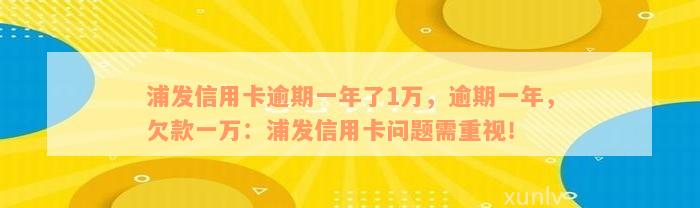 浦发信用卡逾期一年了1万，逾期一年，欠款一万：浦发信用卡问题需重视！