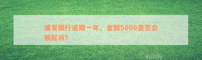 浦发银行逾期一年、金额5000是否会被起诉？