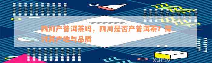 四川产普洱茶吗，四川是否产普洱茶？探讨其产地与品质