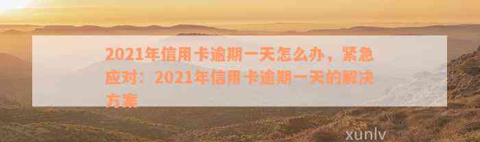 2021年信用卡逾期一天怎么办，紧急应对：2021年信用卡逾期一天的解决方案