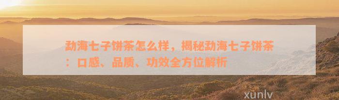 勐海七子饼茶怎么样，揭秘勐海七子饼茶：口感、品质、功效全方位解析