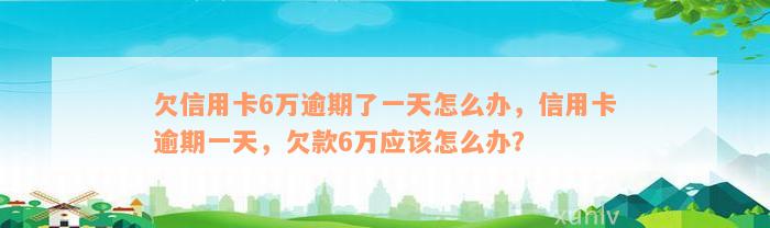 欠信用卡6万逾期了一天怎么办，信用卡逾期一天，欠款6万应该怎么办？