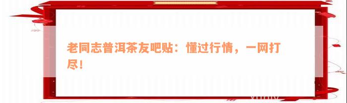 老同志普洱茶友吧贴：懂过行情，一网打尽！