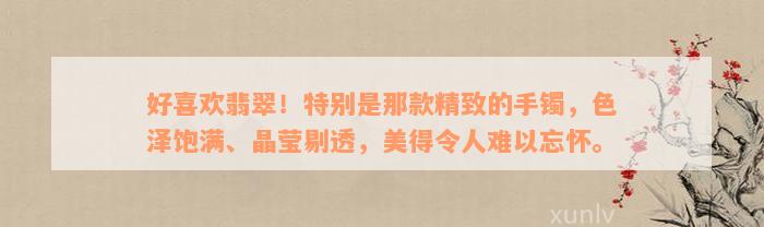 好喜欢翡翠！特别是那款精致的手镯，色泽饱满、晶莹剔透，美得令人难以忘怀。