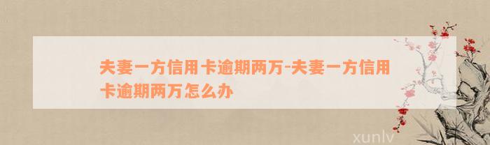 夫妻一方信用卡逾期两万-夫妻一方信用卡逾期两万怎么办