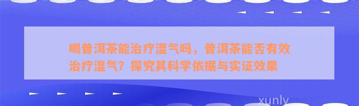 喝普洱茶能治疗湿气吗，普洱茶能否有效治疗湿气？探究其科学依据与实证效果