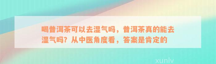 喝普洱茶可以去湿气吗，普洱茶真的能去湿气吗？从中医角度看，答案是肯定的