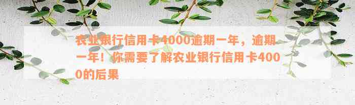 农业银行信用卡4000逾期一年，逾期一年！你需要了解农业银行信用卡4000的后果