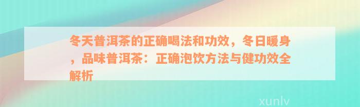 冬天普洱茶的正确喝法和功效，冬日暖身，品味普洱茶：正确泡饮方法与健功效全解析