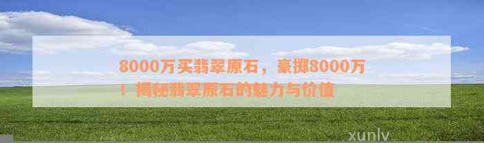 8000万买翡翠原石，豪掷8000万！揭秘翡翠原石的魅力与价值