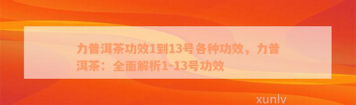 力普洱茶功效1到13号各种功效，力普洱茶：全面解析1-13号功效