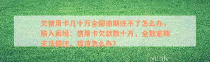 欠信用卡几十万全部逾期还不了怎么办，陷入困境：信用卡欠款数十万，全数逾期无法偿还，我该怎么办？