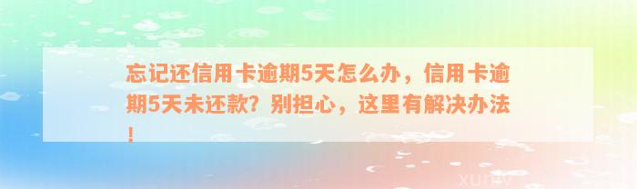 忘记还信用卡逾期5天怎么办，信用卡逾期5天未还款？别担心，这里有解决办法！