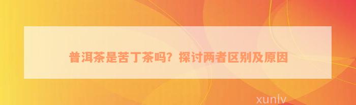 普洱茶是苦丁茶吗？探讨两者区别及原因