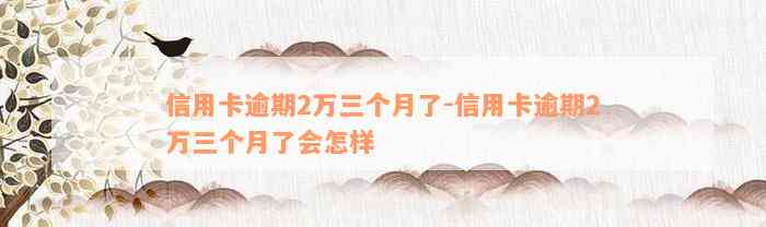 信用卡逾期2万三个月了-信用卡逾期2万三个月了会怎样