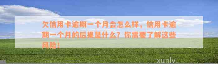 欠信用卡逾期一个月会怎么样，信用卡逾期一个月的后果是什么？你需要了解这些风险！