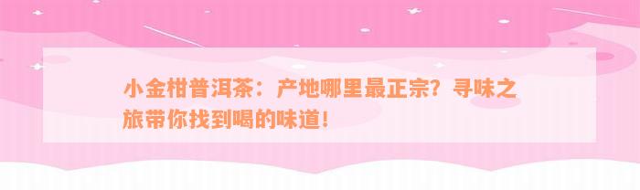 小金柑普洱茶：产地哪里最正宗？寻味之旅带你找到喝的味道！