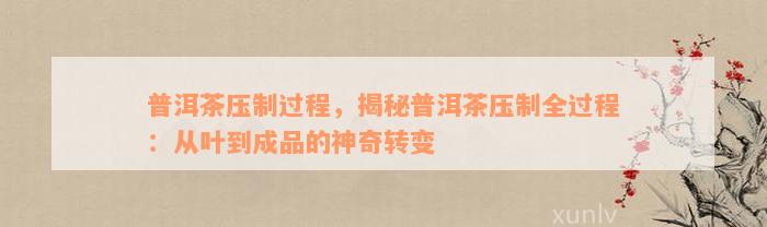 普洱茶压制过程，揭秘普洱茶压制全过程：从叶到成品的神奇转变