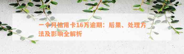 一个月信用卡16万逾期：后果、处理方法及影响全解析