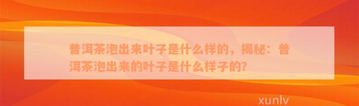 普洱茶泡出来叶子是什么样的，揭秘：普洱茶泡出来的叶子是什么样子的？