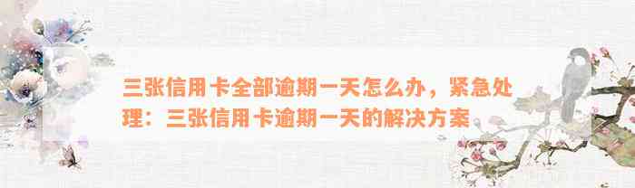 三张信用卡全部逾期一天怎么办，紧急处理：三张信用卡逾期一天的解决方案