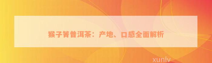 猴子箐普洱茶：产地、口感全面解析