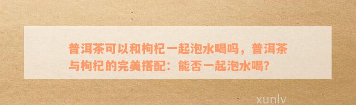 普洱茶可以和枸杞一起泡水喝吗，普洱茶与枸杞的完美搭配：能否一起泡水喝？