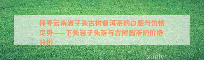 探寻云南岩子头古树普洱茶的口感与价格走势——下关岩子头茶与古树圆茶的价格分析