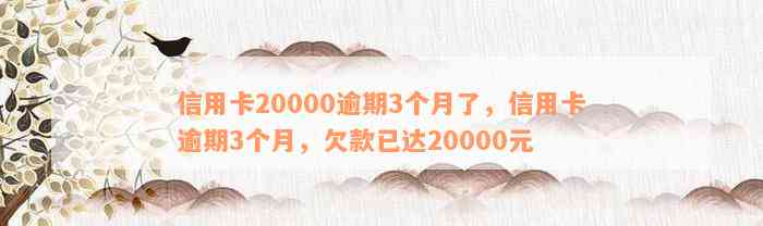 信用卡20000逾期3个月了，信用卡逾期3个月，欠款已达20000元